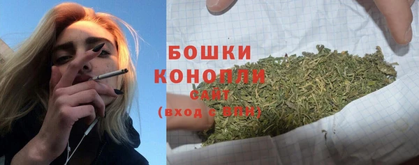 2c-b Каменка