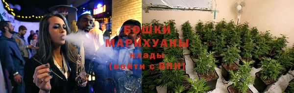 2c-b Каменка