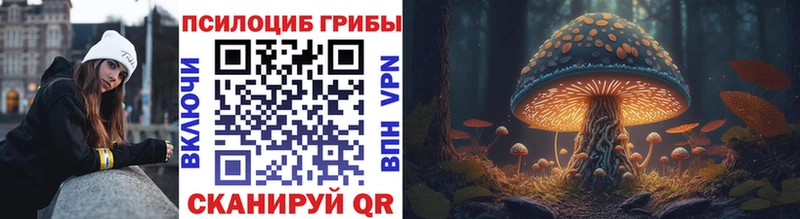 Купить закладки  Шагонар  Псилоцибиновые грибы Psilocybine cubensis 